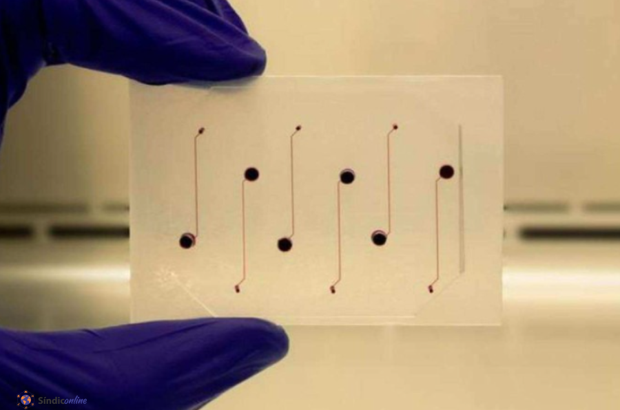 Chips que simulam vasos sanguíneos auxiliam na produção de remédios