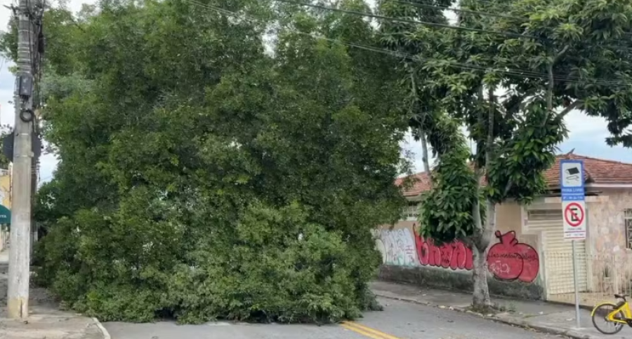 Chuva forte derruba árvore, muro de condomínio e causa alagamentos, em São José dos Campos